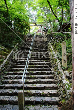 猿丸神社 猿丸神社 17078105