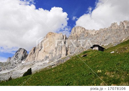 カティナッチョ　catinaccio　　ローゼンガルテン　rosengarten 17078106