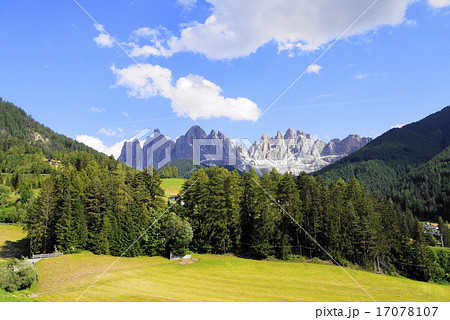 サンタ・マッダレーナ　santa　maddalena 17078107