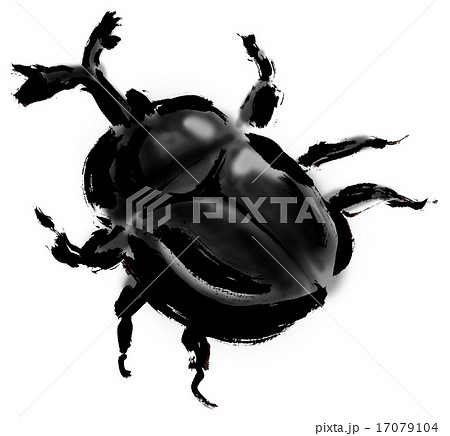 カブトムシ 17079104