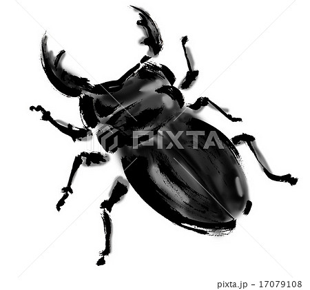 クワガタムシ クワガタムシ 17079108