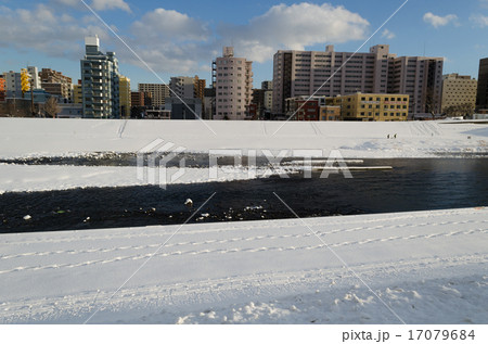豊平川の川辺 豊平川の川辺 17079684