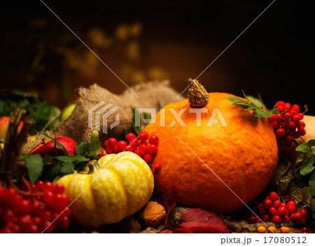 Thanksgiving day autumnal still life 17080512