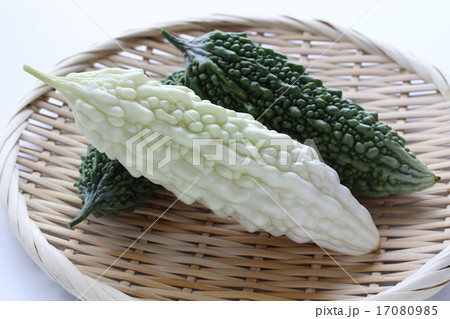 ニガウリ 17080985