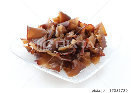 キクラゲ 17081729