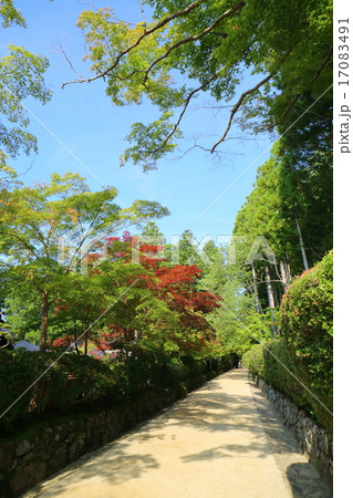 高野山　金剛峯寺　蛇腹道 17083491