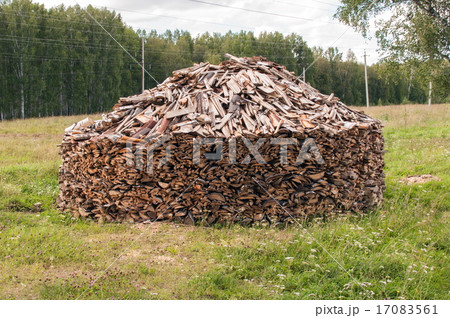 A Stack of Firewood in a Forest Glade A Stack of Firewood in a Forest Glade 17083561