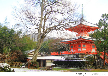 大覚寺（京都　嵯峨野）心経宝塔の雪景色 17083609