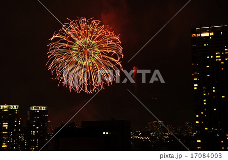 東京湾花火大会 17084003