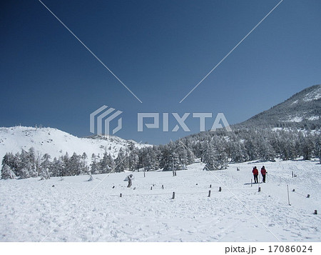 北八ヶ岳 蓼科 雪山 ピラタス 北横岳 スノーハイク 北八ヶ岳 蓼科 雪山 ピラタス 北横岳 スノーハイク 17086024
