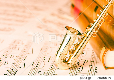 アルトサックス 17086619