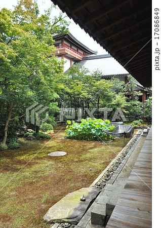 本法寺庭園 17086849