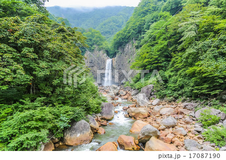 新潟県妙高市の夏の苗名滝 17087190