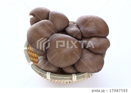 ひらたけ 17087593