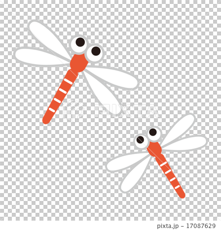 赤とんぼ 赤とんぼ 17087629