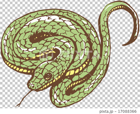 蛇 蛇 17088366
