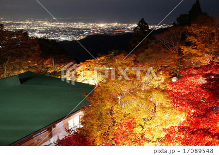 大山阿夫利神社紅葉ライトアップ 大山阿夫利神社紅葉ライトアップ 17089548