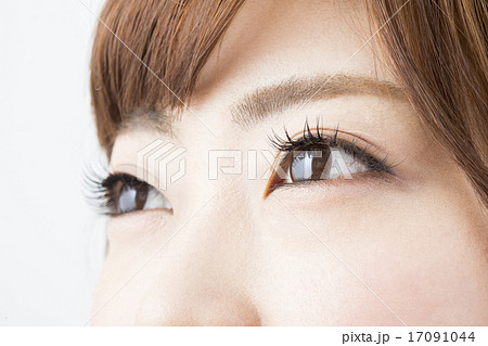 ビューティーイメージ 目元アップ ビューティーイメージ 目元アップ 17091044