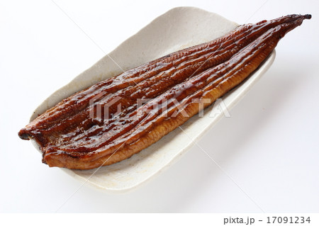 ウナギのかば焼き 17091234