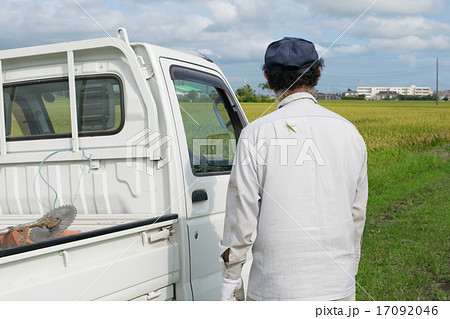 色づき始めた稲田と農夫（肩にバッタ）１ 17092046