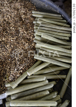 ASIA MYANMAR NYAUNGSHWE TABACCO FACTORY ASIA MYANMAR NYAUNGSHWE TABACCO FACTORY 17092130