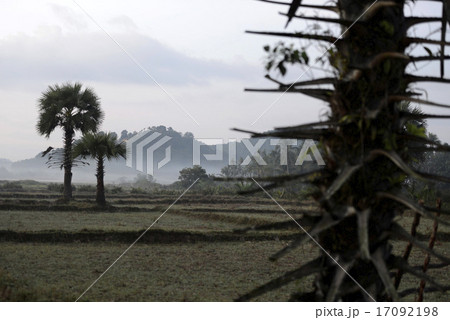 ASIA MYANMAR MYEIK LANDSCAPE 17092198