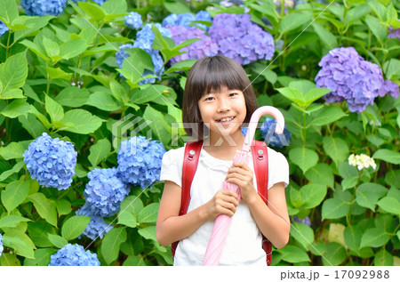 アジサイと小学生の女の子（梅雨） 17092988