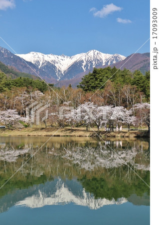湖面に映る桜と駒ケ岳 湖面に映る桜と駒ケ岳 17093009