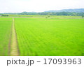 電車から見た畑 17093963