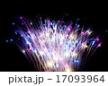 花火 17093964