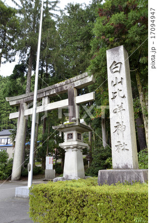 白山比咩神社表参道 17094947