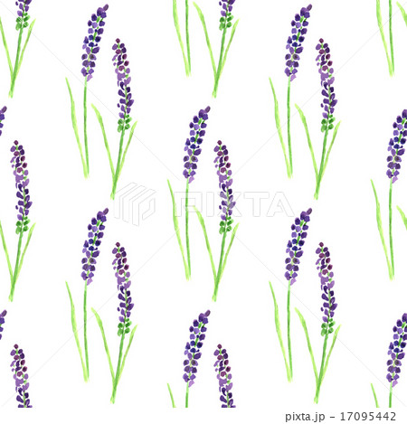 Watercolor painted seamless lavender pattern. Watercolor painted seamless lavender pattern. 17095442