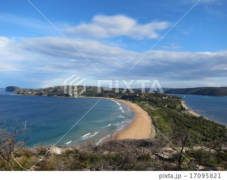 Palm Beach　 17095821