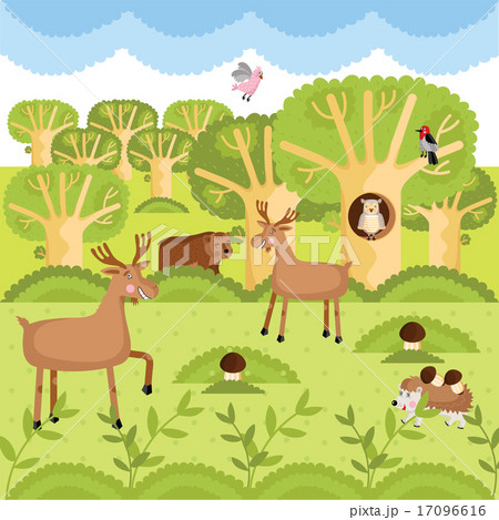 Vector wild animals on the forest. 17096616