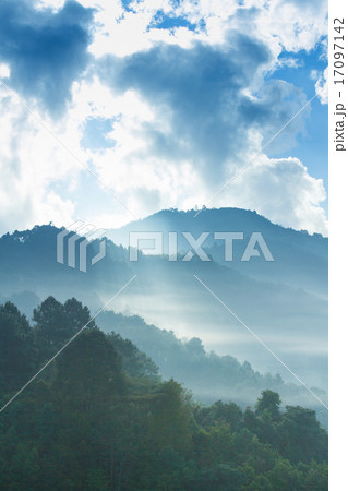 Landscape sunrise at strawberry garden Doi Ang Kha 17097142