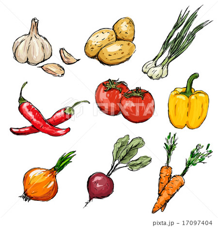 Vegetables set. Vector illustration 17097404