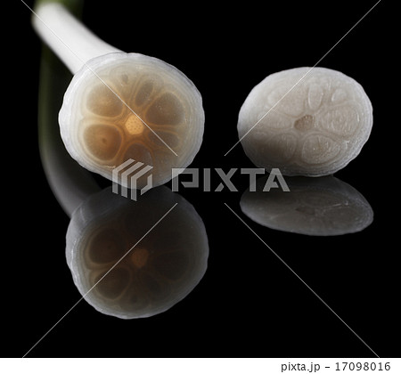 Chopped garlic 17098016