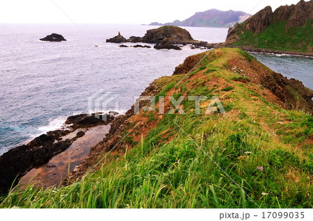 利尻・礼文のお花畑 利尻・礼文のお花畑 17099035