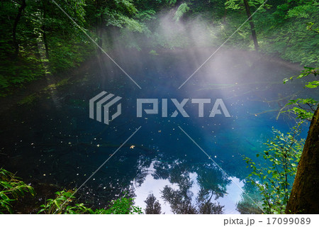 日が差す朝靄の青池（十二湖、青森県） 17099089