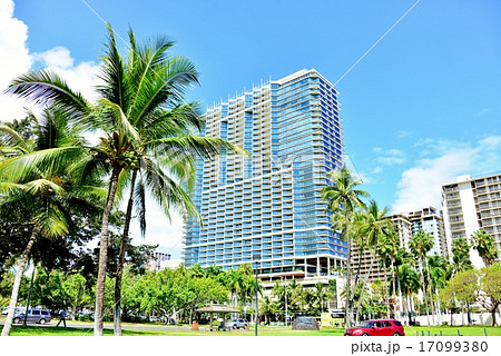 ハワイの休日 17099380