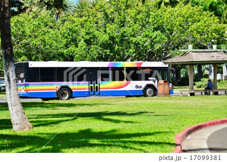 ハワイの休日 17099381