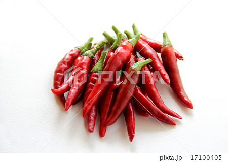 赤唐辛子 赤唐辛子 17100405