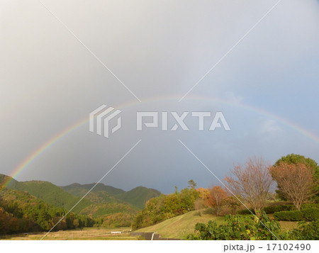 虹 虹 17102490