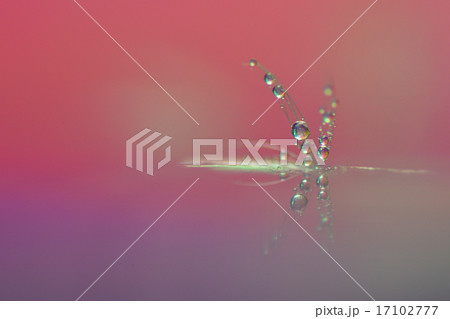 水滴 17102777