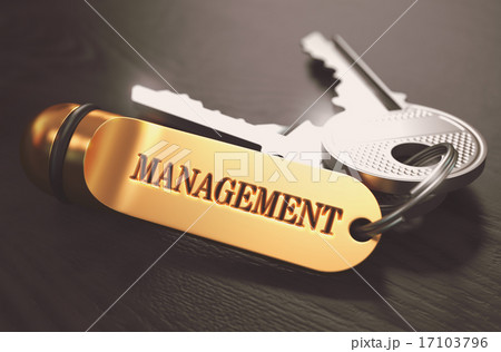 Management Concept. Keys with Golden Keyring. 17103796
