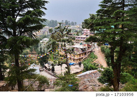 インド　チベット仏教の聖地　ダラムシャーラーの街並み　 17103956