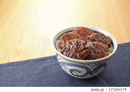 ソースかつ丼 17104174