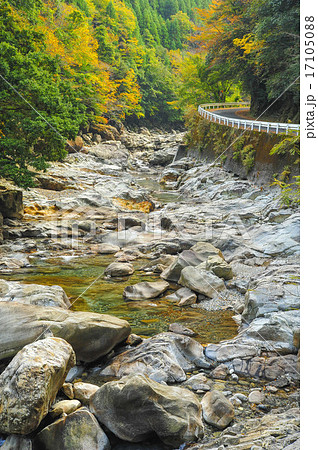 奥岳川の紅葉 17105088