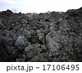 伊豆大島の火山岩 17106495