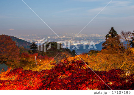 大山阿夫利神社 大山阿夫利神社 17107199